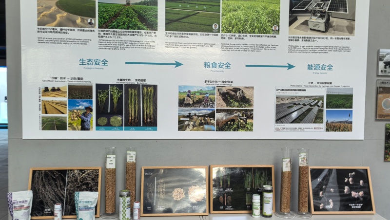 华大BGI (15)_插图.jpg