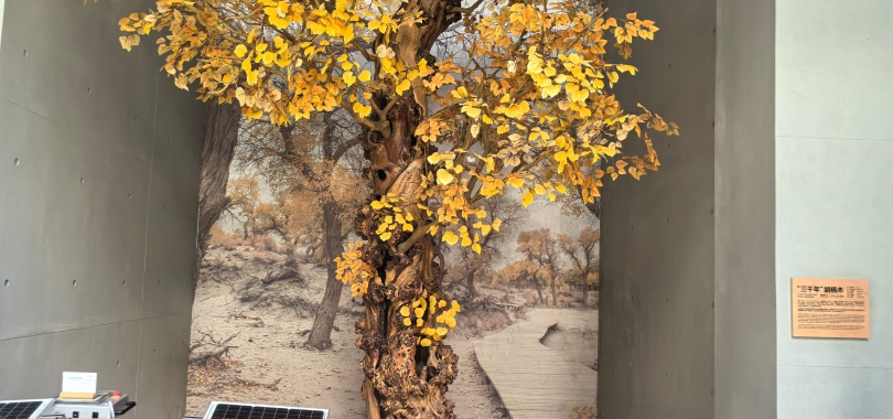 华大BGI (14)_插图.jpg